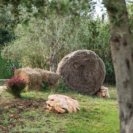 Petranima Wellness In Trulli Couette-café 4*