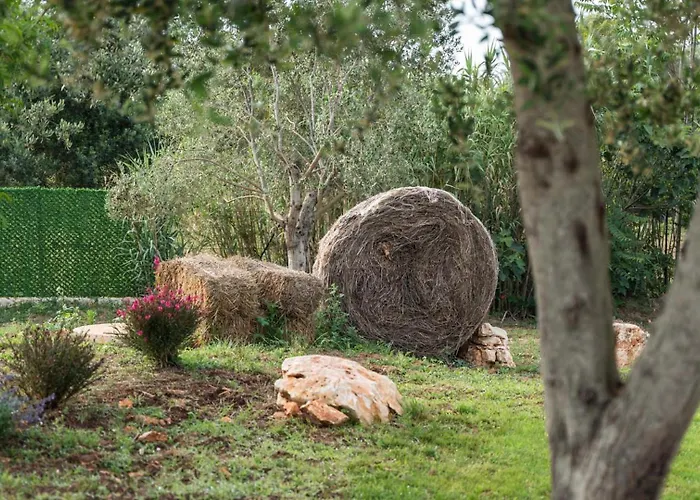 Petranima Wellness In Trulli Alojamento de Acomodação e Pequeno-almoço 4*